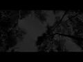 마크툽(MAKTUB)-숲의 목소리 (Voice of the Forest) Teaser 2