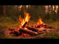 Download Lagu Unbelievable! This Campfire Trick Can Instantly Put You in a Relaxed State