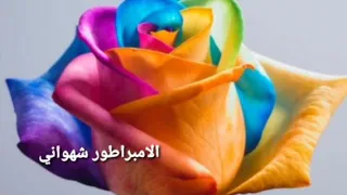 أغنية فارس كاباري جيروكا من ربنيا من دل يارب جوانيا من 3 9 كاسيت ٣ 