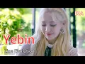 DIA Yebin - Line Evolution
