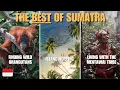 Download Lagu Exploring Sumatra: Living With A Tribe \u0026 Finding Wild Orangutans