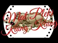 Download Lagu GONG DOLLY GONG Ft SAWUNG JABO - Mat Pleki Kaing Kaing
