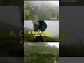 Download Lagu 5 Lagu favorit saat mendaki gunung #Rinjani versi TravelBro. Kalau playlist lagu favorit kamu apa?