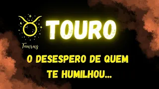 ♉️TOURO😔O DESESPERO DE QUEM TE HUMILHOU...