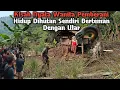 Download Lagu Viral !! Kisah Nyata Wanita Pemberani Puluhan Tahun Tinggal Dihutan Berteman Dengan ular
