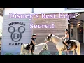 Disney s Best Kept Secret Tri-Circle-D Ranch Pony Rides at Fort Wilderness