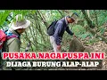 Download Lagu VIRAL !!! PENEMUAN PUSAKA NAGAPUSPA DAN MAKAM MEI SHIN YANG DIJAGA BURUNG ALAP-ALAP ?!
