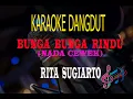 Download Lagu Karaoke Bunga Bunga Rindu Nada Cewek - Rita Sugiarto (Karaoke Dangdut Tanpa Vocal)