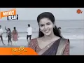 Download Lagu Kayal - Weekly Recap | 28 November - 03 December 2022 | Tamil Serial | Sun TV