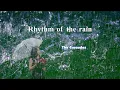 The Cascades - rhythm of the rain