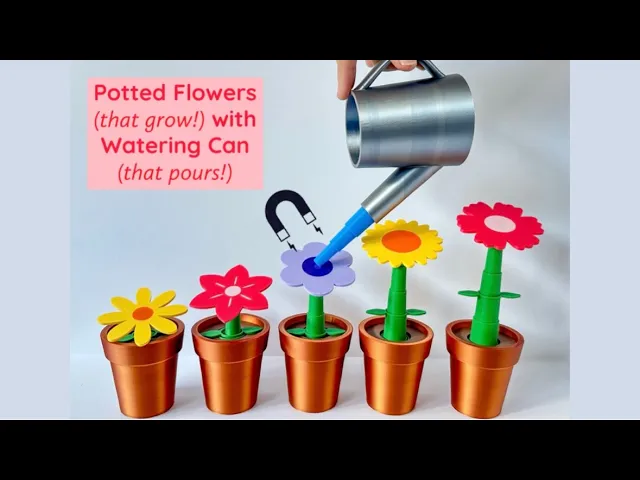 Potted Flowers and Watering Can video thumbnail