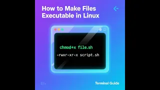 How to Make Files Executable in Linux - Terminal File Manager Guide