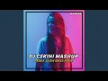Download Lagu DJ Cekini Mashup