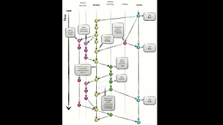 Automatically Versioning Your Code Based on Git Commit History