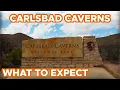 Things to do at Carlsbad Caverns National Park What to Expect and Where to Stay