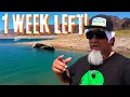 Lake Mead Is In Serious Trouble - It Will Be The Lowest Ever In One Week