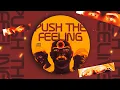 Download Lagu MEGA PUSH THE FEELING - PETROSKI, FRACARI \u0026 TH PR