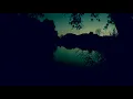 Hans Peitsman Delfín - The River is Calling