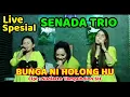 Download Lagu BUNGA NI HOLONG HU //Cover SENADA TRIO // Cipt : Sudiarto Tampubolon.SH @hangganeriksonchannel8093
