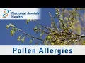 What Are Pollen Allergies and How Can You Manage Them