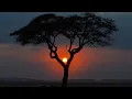 TRADITIONAL AFRICAN Music FOLK Music INSTRUMENTAL for Relaxing Studying u0026 Ambience