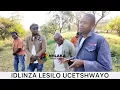 Download Lagu uMongameli  ubengahambi yedwa eyokhuleka eDlinzeni leSilo kodwa ubehamba ne Khansela lendawo
