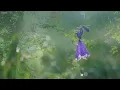 10 Hours of Relaxing Music - Calm Piano & Guitar, Sleep Music, Study Music