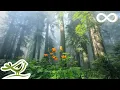 Download Lagu 10 Hours of Relaxing Music - Calm Piano \u0026 Guitar, Sleep Music, Study Music