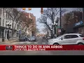 The Buckeye s guide to Ann Arbor