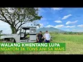 Lagu Walang Kwentang Lupa Binili sa Mura! Ngayon Naghaharvest ng 3 Thousand Tons ng Dried Mais!