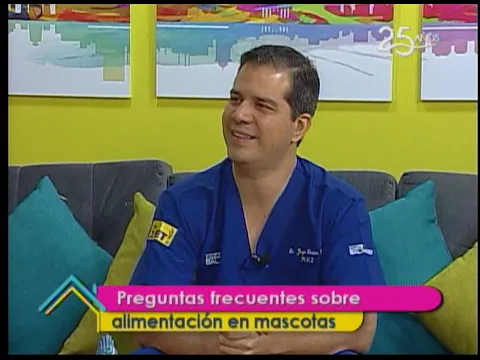 Preguntas frecuentes sobre alimentación en mascotas