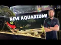 New 125 Gallon Cichlid Tank Setup Massive Fish Room Upgrades