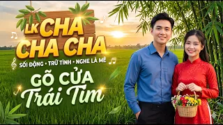 LK Cha Cha Cha Bolero, Toàn Bài Hay, Phối Mới Cực Chuẩn - Gõ Cửa Trái Tim