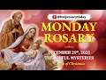 Lagu MONDAY HOLY ROSARY ❤️ DECEMBER 29, 2025 ❤️ JOYFUL MYSTERIES OF THE ROSARY [VIRTUAL] #holyrosarytoday