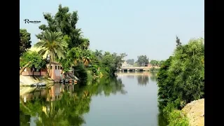 يا هوى الزقازيق يا شرقاوي غناء شفيقة 