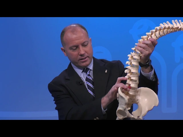 Learning About Stress Fractures
