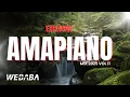 Download Lagu Exclusive Amapiano Mix 2025 | Dj Webaba