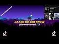 DJ AND NO ONE KNOW (SLOWED+REVERB 🎧)VIRAL TIKTOK