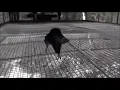 Молчат Дома  - Судно (Molchat Doma - Sudno)