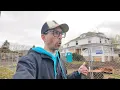 My Home Town is Changing Very Fast Gresham Oregon April 2025