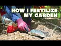 My Approach To Fertilizing The Garden