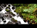 Psalm 119 Relaxing Peaceful Meditation (Verses 9-16 Beth WEB)