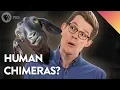 Download Lagu Could You Be a Chimera?
