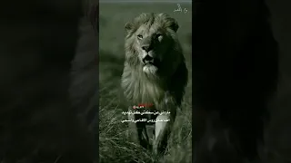 ابيات من ذهب 