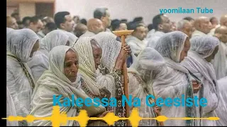 faaruu afaan oromoo 