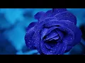 Henry Mancini - Royal blue