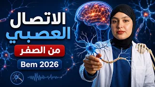 الاتصال العصبي من الألف إلى الياء Bem 2026 🧑🏻‍🎓🏆مع تيتشر صبرين 20/20 
