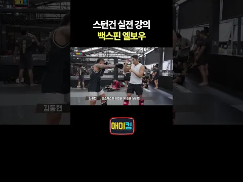 스턴건 실전 강의 백스핀 엘보우