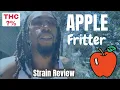 Apple Fritter Strain Review