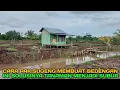 Download Lagu Oh ini ternyata pengaruhnya kenapa tanaman bawang pre tidak subur